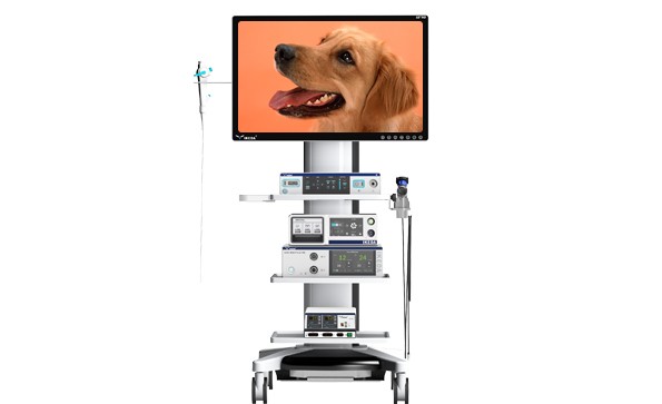 獸用內窺鏡系統在寵物醫療中的優勢以及面臨的挑戰